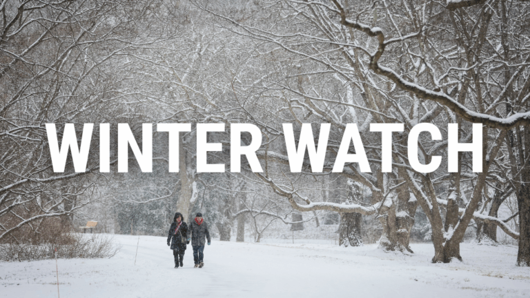 winter watch sign up